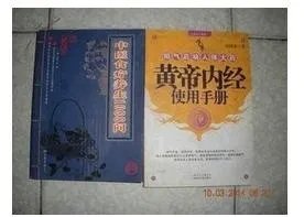 黄帝内经使用手册