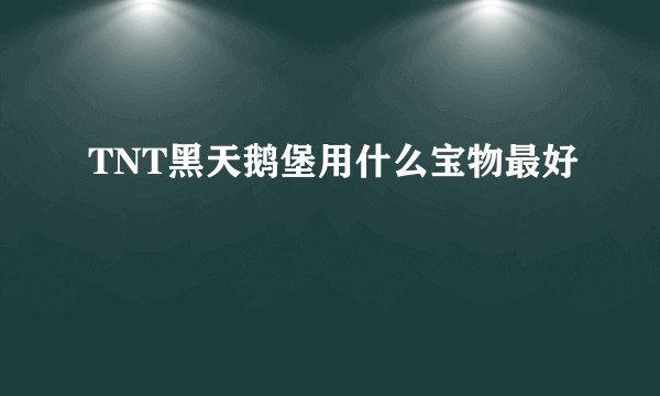 TNT黑天鹅堡用什么宝物最好