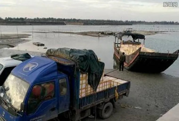 南宁破海鲜走私案 查获涉案走私海产500余吨