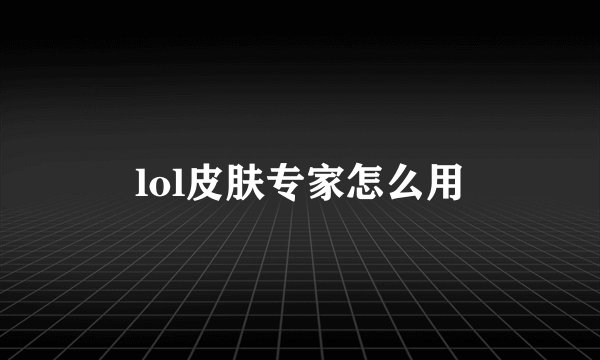 lol皮肤专家怎么用
