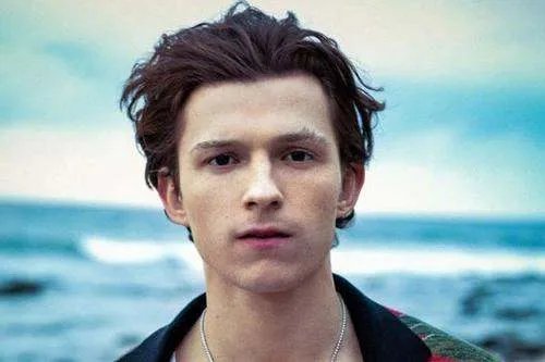 荷兰弟取关索尼影业和迪士尼，荷兰弟出演过哪些影视剧？