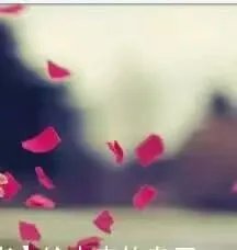 在设计的路上，你后悔了么？