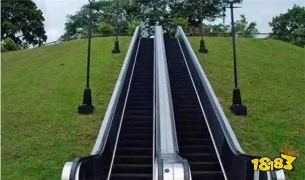 自动扶梯的阶梯旁边会有一排毛刷，这有什么用 蚂蚁庄园今日答案7月29日