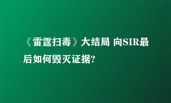 《雷霆扫毒》大结局 向SIR最后如何毁灭证据?