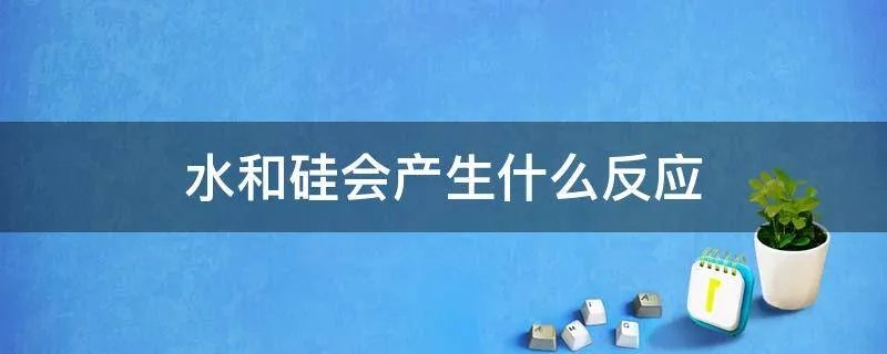 水和硅会产生什么反应