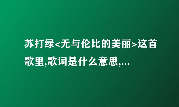 苏打绿<无与伦比的美丽>这首歌里,歌词是什么意思,想要表达什么?