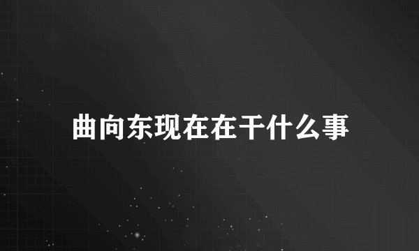曲向东现在在干什么事