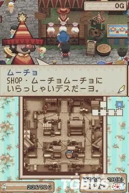 NDS《牧场物语：风之集会》攻略参考资料