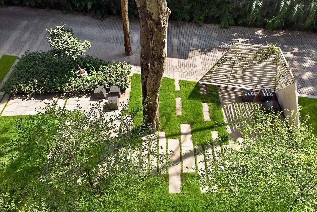 干货 | 庭院植物打造，营造十足空间感