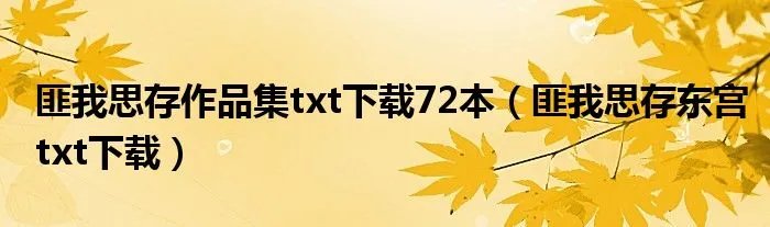 匪我思存作品集txt下载72本（匪我思存东宫txt下载）