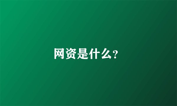 网资是什么？