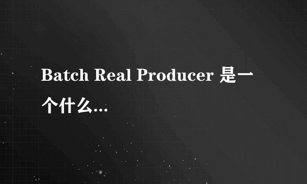 Batch Real Producer 是一个什么样的软件