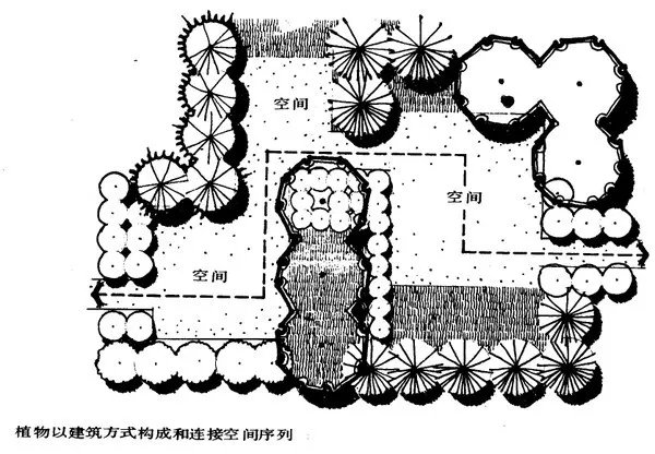 干货 | 庭院植物打造，营造十足空间感