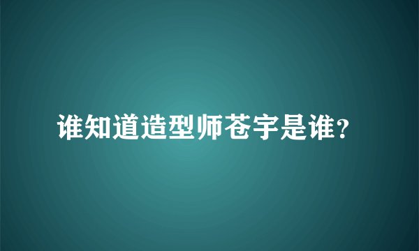 谁知道造型师苍宇是谁？