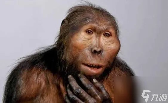 恶魔城被夺走的刻印怪物图鉴 被夺走的刻印有什么boss