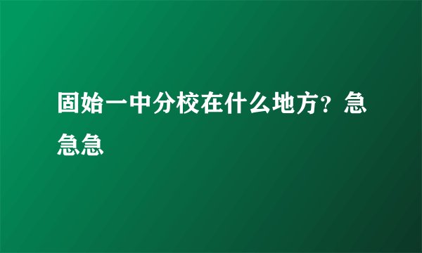 固始一中分校在什么地方？急急急
