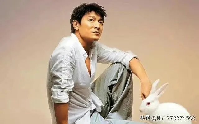 刘德华计划于2020年举办的内地演唱会你会去看吗？