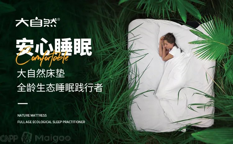 品牌榜：2023年棕垫十大品牌排行榜 投票结果公布