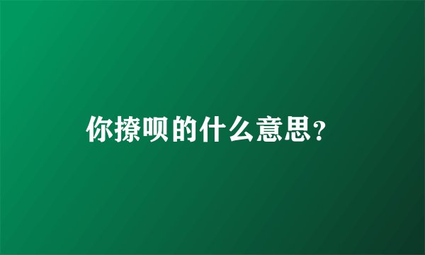 你撩呗的什么意思？
