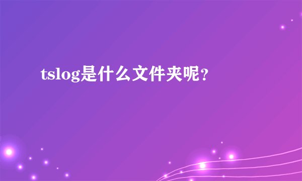 tslog是什么文件夹呢？