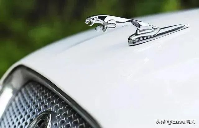 你觉得哪些车标体现出了车子风驰电掣的感觉？