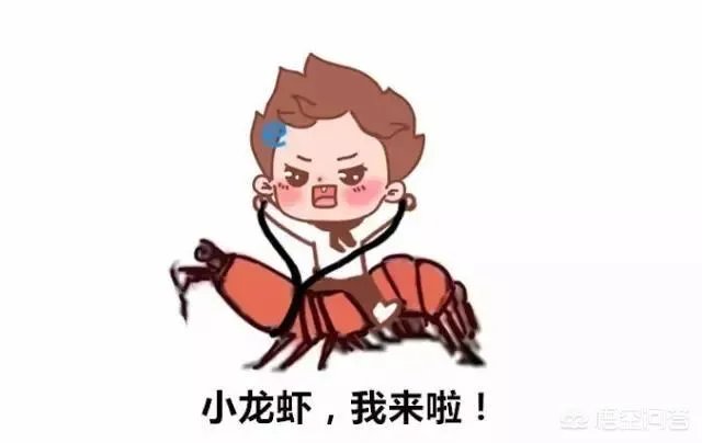 2018年武汉的小龙虾价格怎么样？