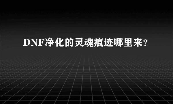 DNF净化的灵魂痕迹哪里来？