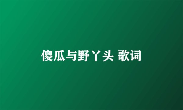 傻瓜与野丫头 歌词