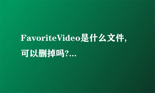 FavoriteVideo是什么文件,可以删掉吗??有没坏处??