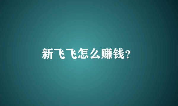 新飞飞怎么赚钱？