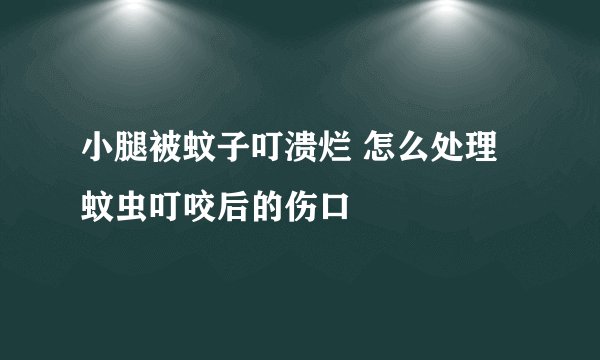 小腿被蚊子叮溃烂 怎么处理蚊虫叮咬后的伤口