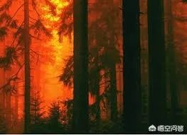凉山木里火场又复燃了，是什么原因造成的？