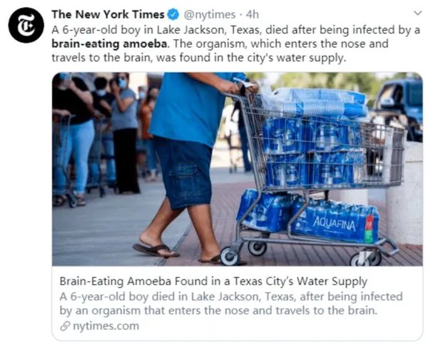 美国再现食脑虫，这种生物是从哪来的？