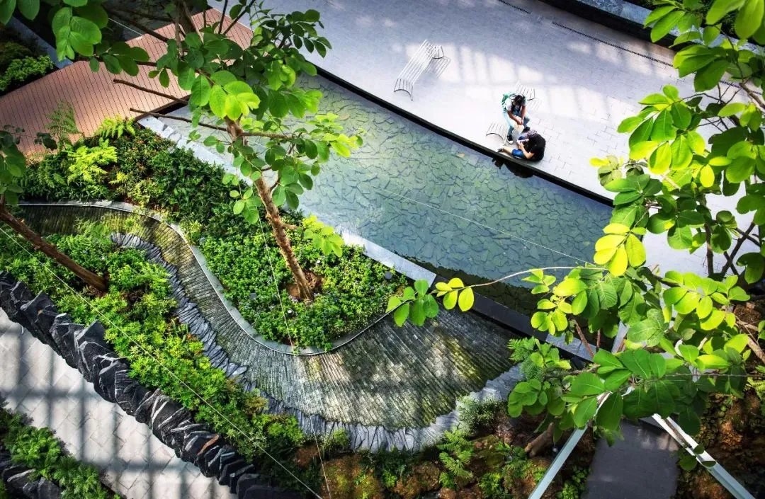 干货 | 庭院植物打造，营造十足空间感