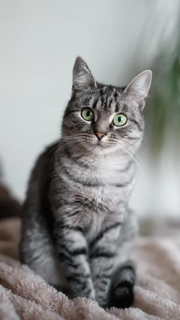 62岁麦姐和26岁小鲜肉男友甜蜜秀恩爱，你们怎么看？