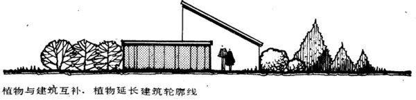 干货 | 庭院植物打造，营造十足空间感