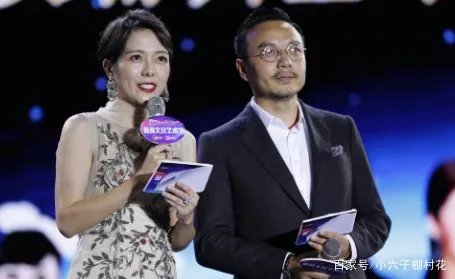 杨乐乐被强制执行，汪涵对此视而不见，是炒作还是婚姻早出祸端呢？