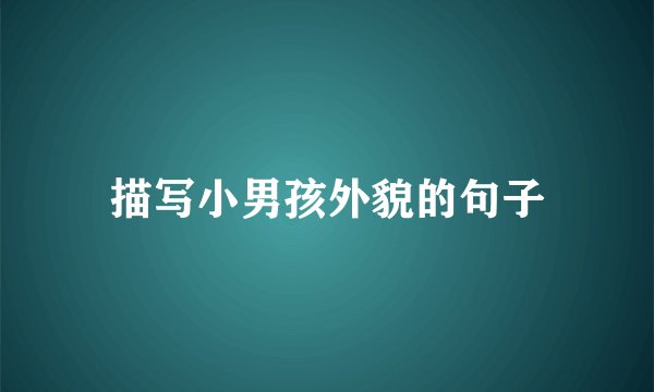 描写小男孩外貌的句子