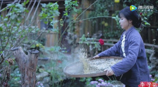 坐拥几千万粉丝的李子柒，被质疑的真实，到底长什么样？