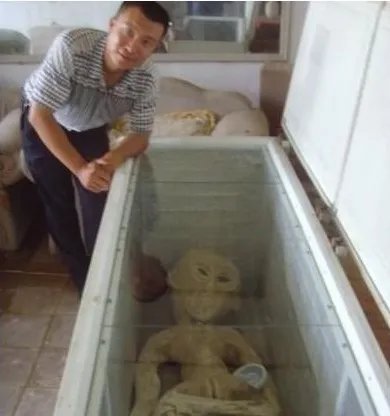 电死外星人系网友造假 网友调侃外星人是海参星人