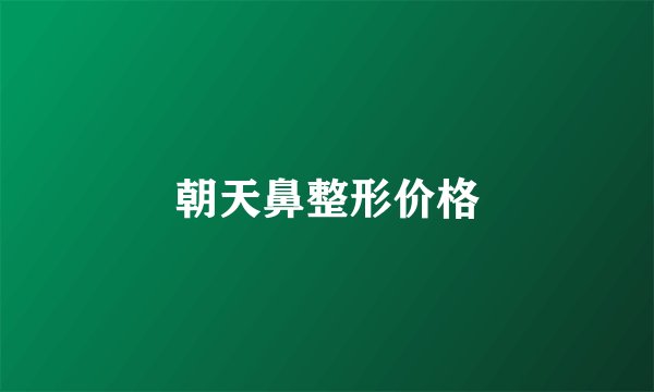 朝天鼻整形价格