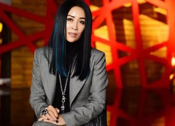 那英微博简介内地流行乐天后