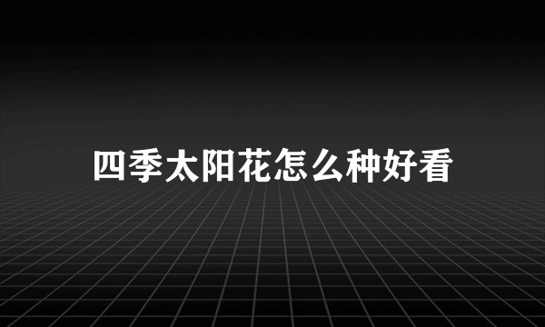 四季太阳花怎么种好看