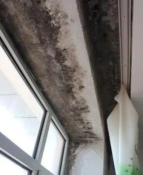 安装窗台石到底要不要留耳朵？