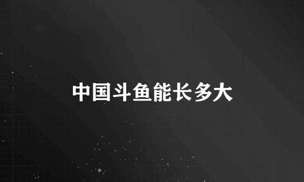 中国斗鱼能长多大