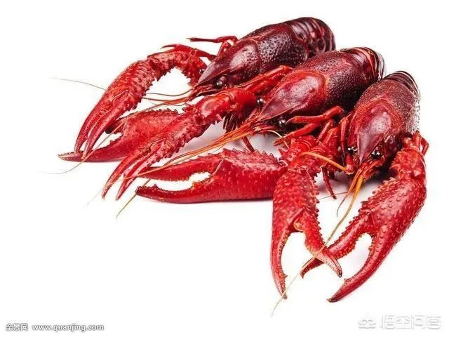 2018年武汉的小龙虾价格怎么样？