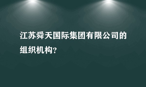 江苏舜天国际集团有限公司的组织机构？