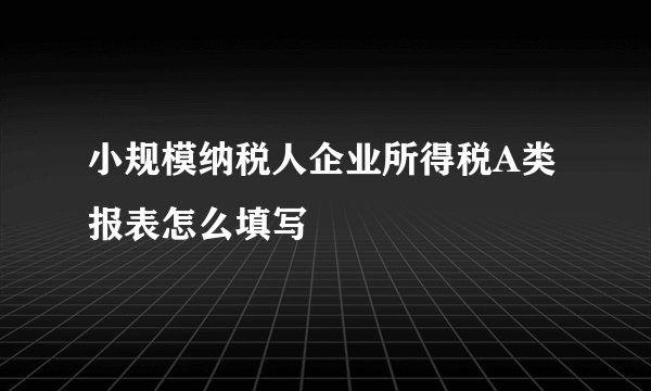 小规模纳税人企业所得税A类报表怎么填写