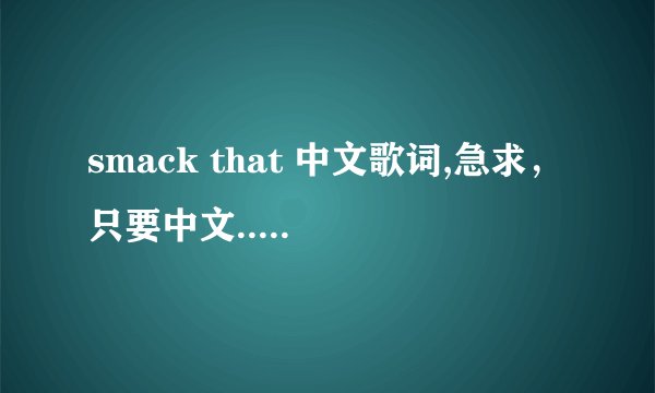 smack that 中文歌词,急求，只要中文.....