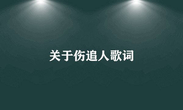 关于伤追人歌词